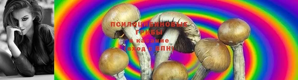 мет Покровск