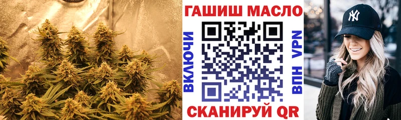 дарнет шоп  Катав-Ивановск  Дистиллят ТГК THC oil 