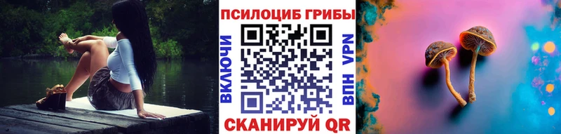 Галлюциногенные грибы Cubensis  наркотики  Катав-Ивановск 